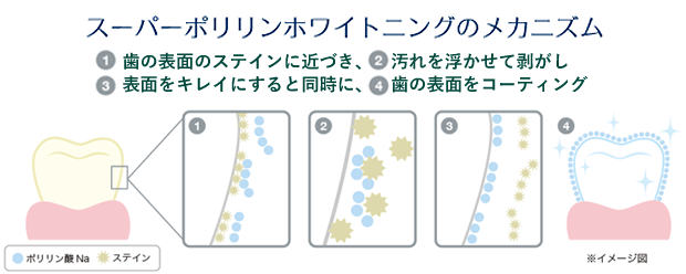 スーパーポリリンホワイトニングのメカニズム