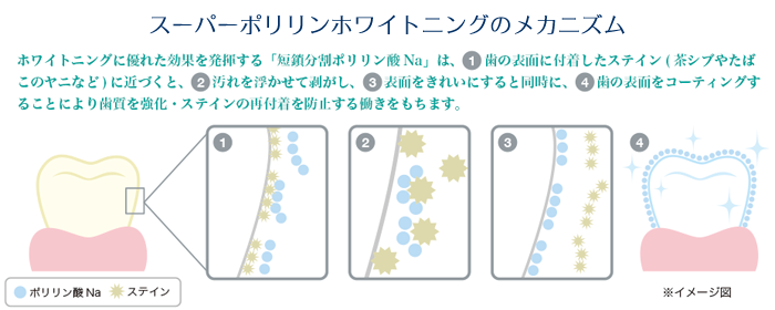 スーパーポリリンホワイトニングのメカニズム